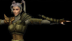 The appearance system